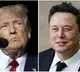 TRUMP Offer Key Role To Musk In His Govt