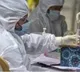 India reported 908 new Covid cases, 2 deaths between June and July: WHO