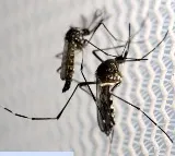 India begins Phase 3 clinical trial with 1st indigenous dengue vaccine