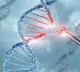 Study decodes connection between metabolism and immunity in genetic diseases