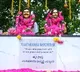 Naresh built a memorial garden for Krishna and Vijayanirmala