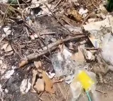 District collector suspends some employees in Polavaram project files burning case