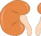 Study shows dialysis not a feasible option for all elderly with kidney failure
