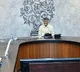 ap cm chandrababu review on home department