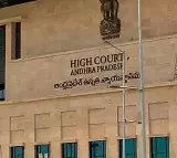 ap high court key comments on Road Accidents