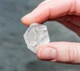 Agri labour found precious diamond
