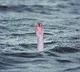 three students drowned while swimming in prakasam district
