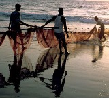 Eight TN fishermen arrested by Sri Lankan Navy