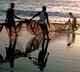 Eight TN fishermen arrested by Sri Lankan Navy