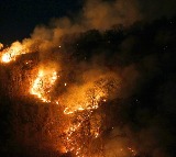 Wildfires cause loss of $182 mn in Brazil's Sao Paulo
