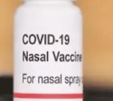 Indian Immunologicals’ new nasal, needle-free Covid vaccine a ‘gamechanger’: Study