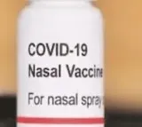 Indian Immunologicals’ new nasal, needle-free Covid vaccine a ‘gamechanger’: Study