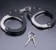 Bank manager among two more held in Hyderabad in Rs 175 crore fraud