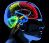 Why prostate cancer raises risk of Alzheimer’s