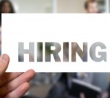 Surge in white-collar jobs in India, IT roles in demand: Report