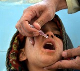 Israel, Hamas agree to pauses for polio vaccinations in Gaza: WHO