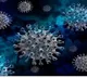 India must be prepared for another Covid outbreak: Expert