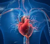 Simple blood test can predict 30-year heart disease risks for women