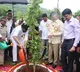 cm chandrababu and deputy cm pawan kalyan attended vana mahotsavam program at Mangalagiri