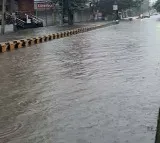 Heavy traffic at Kodada