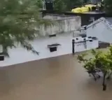 Centre sends nine NDRF teams to Telangana for rescue operations