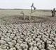 How drought and GDP are related, shows new study