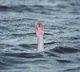 Man Drowned In The Ganga River And Lost His Life Due To A Greedy Person in Uttar Pradesh