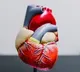 Study shows kidney, diabetes drug may boost survival in heart failure patients