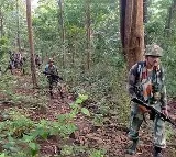 10 Maoists Killed in Encounter in Chhattisgarh