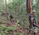 10 Maoists Killed in Encounter in Chhattisgarh