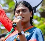 Why Jagan not thought of actress Jetwani asks Sharmila