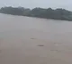 Godavari river at 39 feet at Bhadrachalam