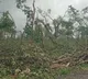 tornado type disaster in medaram area