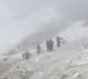 nearly 1700 ancient virus species found in guliya glacier of himalayas