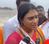 Trolls on YS Sharmila Comments on Rainy Season