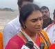 Trolls on YS Sharmila Comments on Rainy Season