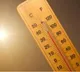 World records hottest August with 2024 poised to be warmest year