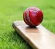 The Italian town that banned cricket