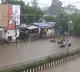 Heavy rain lashes Tiruvuru
