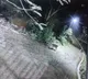 Leopard spotted in Rajahmundry suburb areas
