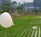North Korea launches trash balloons towards South Korea for fifth day