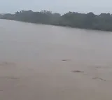 Godavari water level raising fastly