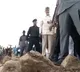 CM Chandrababu visits Budameru
