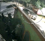 Two booked for running over stray cattle in MP