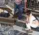 Girl Lies Down on Track for Suicide Falls Asleep what happened next