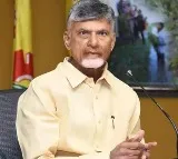 AP CM Chandrababu Naidu went to New Delhi