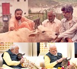Then and now: PM Modi's fondness for cows remains the same