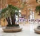 India aims to increase operational airports to 400 by 2047: Centre