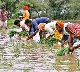 India sees healthy 8 pc increase in overall rainfall, positive for inflation outlook