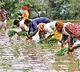 India sees healthy 8 pc increase in overall rainfall, positive for
 inflation outlook